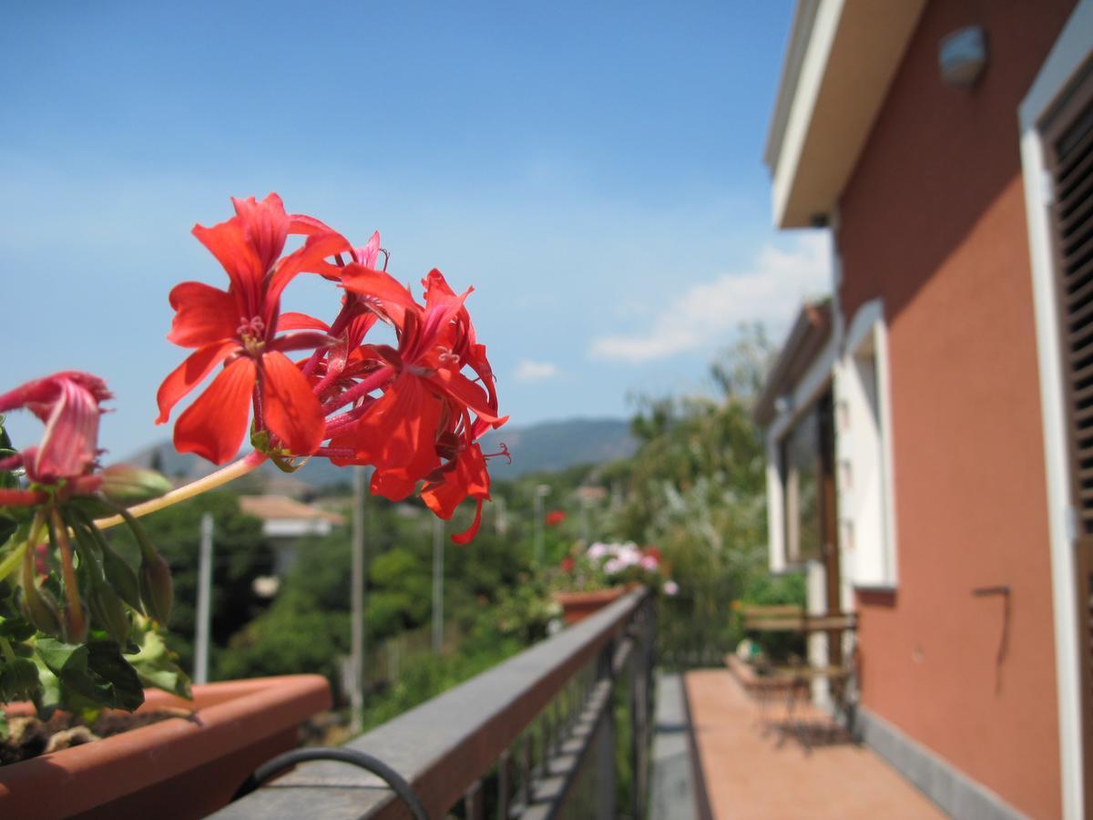 Anthea Dell' Etna Bed & Breakfast Santa Venerina Eksteriør bilde
